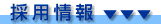 C݁^̗p